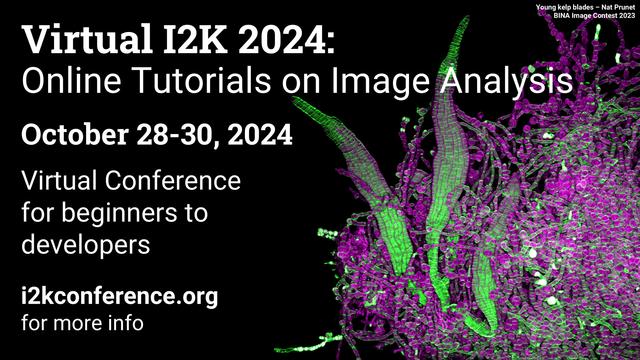 A green and magenta fluorescence microscopy image of kelp blades, next to text saying "Virtual I2K2024: Online Tutorials on Image Analysis. October 28-30, 2024. Virtual Conference for beginners to developers. i2kconference.org for more info .