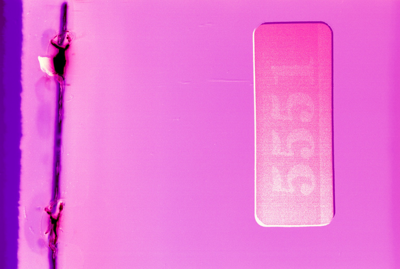 A luminous pink filed created by scanning an exposed piece of film. There are tears on the left where it was attached to the processor and the numbers on the label are vaguely visible.