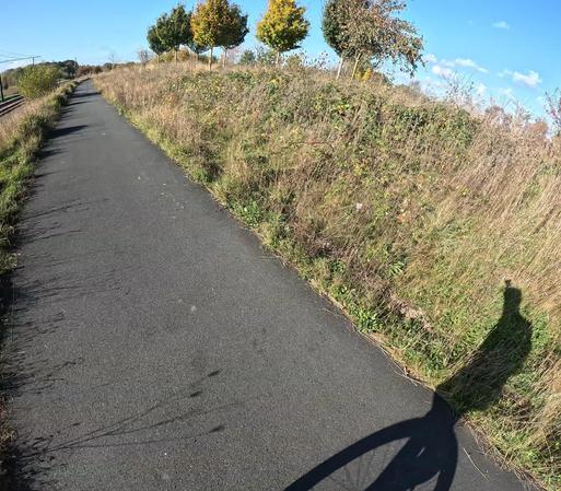 Ombro de unuciklisto, estas griza strateto inter bruna kaj verda herbo, oni povas vidi kvar arboj kontraŭ blua ĉielo.