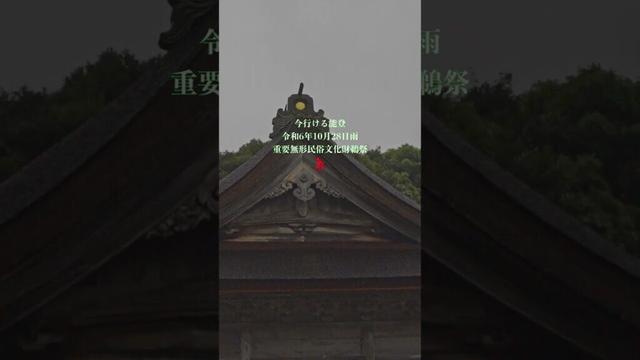 今行ける能登　重要無形民俗文化財鵜祭　令和6年10月28日雨 #気多大社 #令和6年能登半島地震 　#国指定重要文化財 　#重要文化財 #α７r  #寺家遺跡 #祭祀遺跡 #重要無形民俗文化財