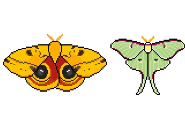 Moth pixel art