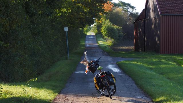 Fahrrad im Sonnenlicht auf einem Wirtschaftsweg welcher langsam bergauf führt