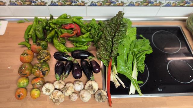 Contenido de la cesta de la semana sobre una encimera de cocina.
Hay tomates, ajos, berenjenas, bastantes pimientos y hojas de acelga roja y verde.