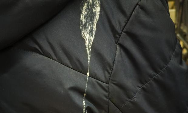 Excremento de pájaro en una chaqueta (Getty Images)