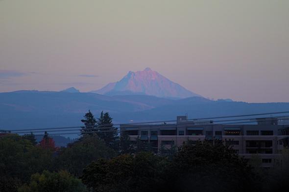 A zoomed in picture of a distant mountain with a jaggy peak. The mountain is pink and purple in the evening light, while the sky behind is clear and yellow and orange. In the foreground, powerlines and an apartment building can be seen, along with trees.