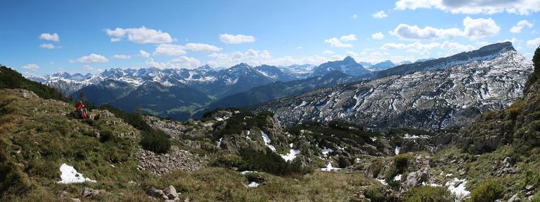 Panoramic view of snowy mountains in the distance with on the left a rocky plateau with a diagonal scree above it. In the foreground there's grass and pine shrubs.