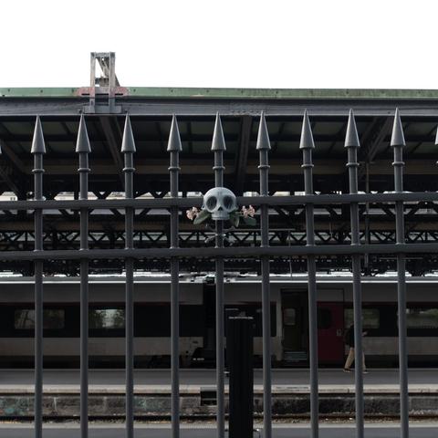 a wider view of the skull on the fence it is hanging from.