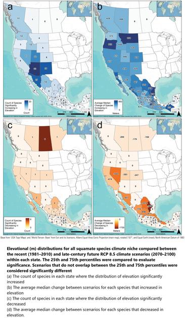 maps - Elevational (m) distributions for all squamate species climate niche compared between the recent (1981–2010) and late-century future RCP 8.5 climate scenarios (2070–2100) within each state. The 25th and 75th percentiles were compared to evaluate significance. Scenarios that do not overlap between the 25th and 75th percentiles were considered significantly different. (a) The count of species in each state where the distribution of elevation significantly increased. (b) The average median change between scenarios for each species that increased in elevation. (c) The count of species in each state where the distribution of elevation significantly decreased. (d) The average median change between scenarios for each species that decreased in elevation.