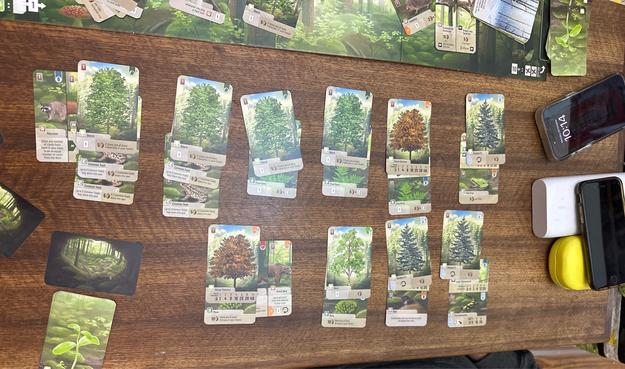 Final state of hand in Forrest Shuffle. 10 trees all of which have cards under, none above and only two on the sides.