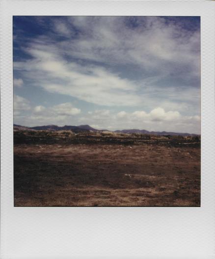 Desolazione
Autumn Polaroid Week 2024

Camera: Polaroid I-2
Film: Polaroid 600