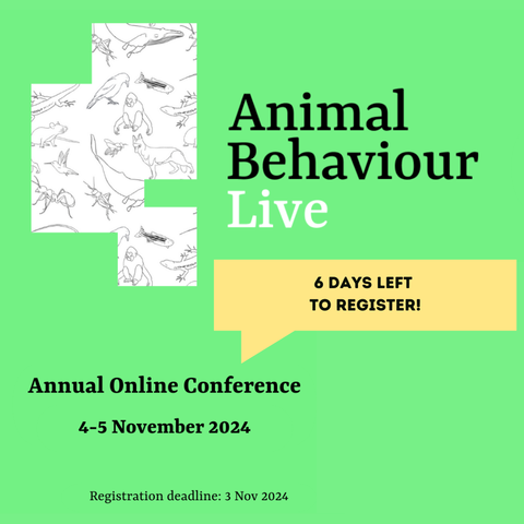 Visual advertisement for the conference