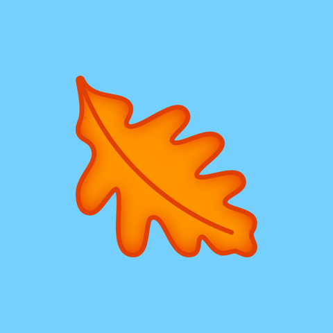 An illustration of an oak leaf on a sky blue background