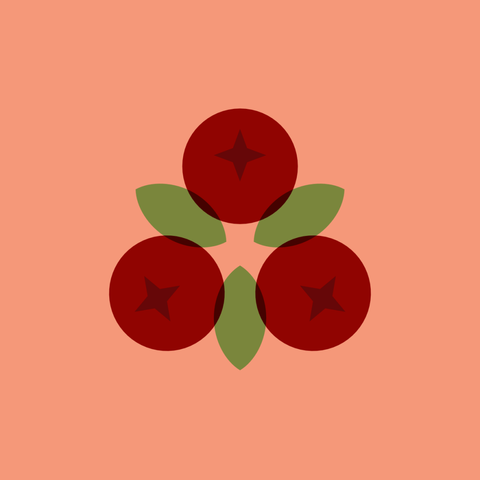 An illustration of three lingonberries and their leaves on a pink background