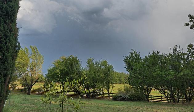 The image shows a landscape with a grassy field and several trees. There is a wooden fence in the background and dark clouds in the sky, suggesting an impending storm. The overall atmosphere is calm but slightly foreboding due to the weather.