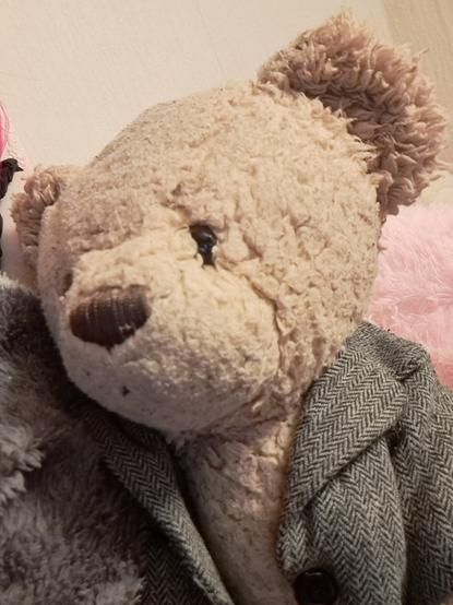A light brown teddy bear wearing a grey tweed coat