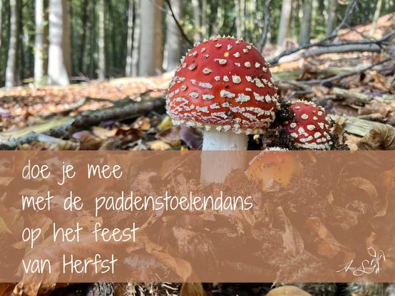 Red and white fungi and a poem (originally in Dutch) by Anna de Swart:
will you join
in the mushroom dance
at the party
of Autumn