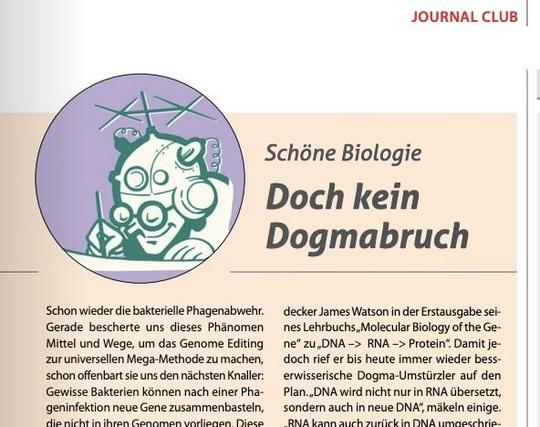 Screenshot von Logo und Überschrift "Doch kein Dogmabruch" samt den oberen Zeilen des im Post verlinkten Artikels.