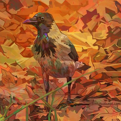 a digital painting of a hooded crow. the bird is centered in the image, with most of his body facing forward to the viewer, and his head in profile so that his bill is pointing to the left. he is mostly white with a black head and spots on his wings and tail, but the artist has included flourishes of aqua and blue in his feathers. he is surrounded by yellow and orange leaves that become more and more abstract as they fall to the background. a few blades of green grass cut the front from the left corner.