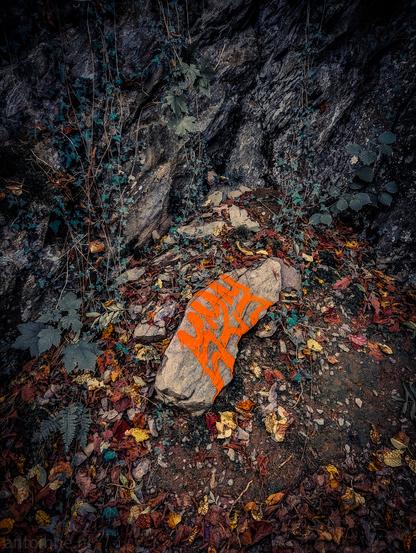 Mysterious bright orange paint scribbled on a rock somewhere along the banks of the Roer.