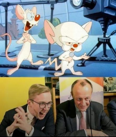 Pinky und Brain oben, amthor und Merz oben