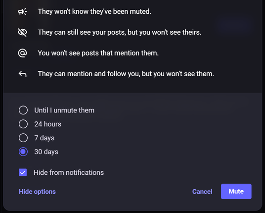A helpful screen shot of the mute options UX