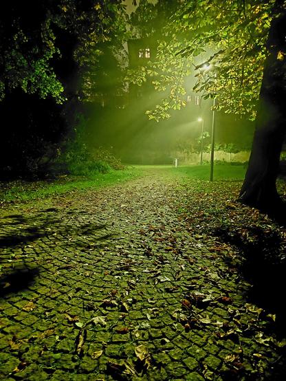 Ein Pflastersteinweg ist mit Herbstlaub bedeckt. Links und rechts des Weges sind Bäume und Sträucher zu sehen. Die Straßenlaternen am Wegesrand werfen ihren Lichtschein in den leicht nebligen Abend. Das ganze Bild wirkt recht grün.