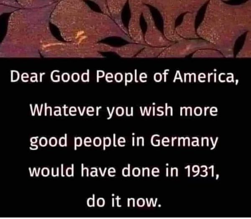 Dear Good People of America,

Whatever you wish more good people in Germany would have done in 1931, do it now.