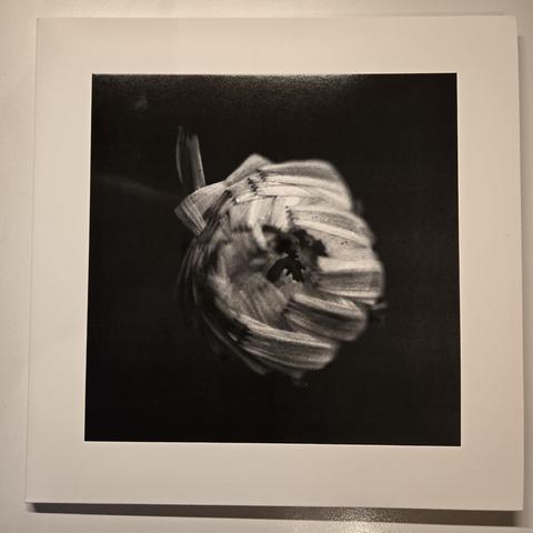 A Swarm of the Sun's "An Empire" double gatefold LP, front cover
