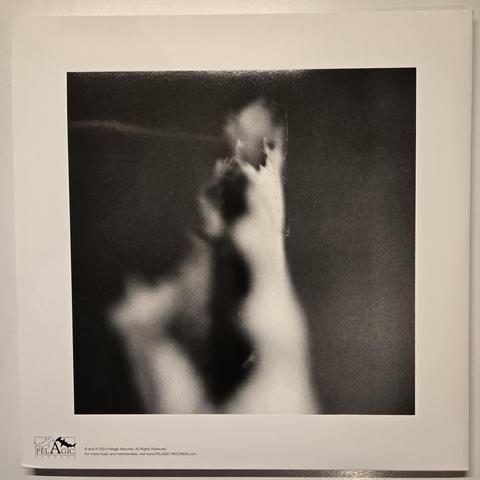 A Swarm of the Sun's "An Empire" double gatefold LP, back cover