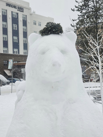 Facial view of snow bear...made of snow...with a cub on her back in downtown Fairbanks, Alaska. You can see the cub peaking over her shoulder and there is some sort of greenery on her head.