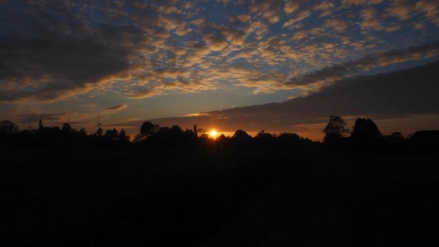 Sonnenuntergang, Wölkchen am Blauen Himmel, Bäume und sträucher als Schattenriss. Sonne kurz über den Bäumen