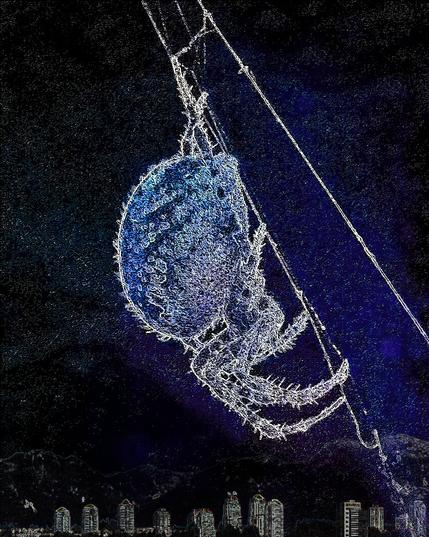 An enhanced photo of a fat spider on a couple of strands of her web. Below, smaller and paler than the spider's front legs, there's a line of high-rise buildings with mountains behind them. The photo is rendered in blues (navy, royal) and black; the sky dusted with a Milky Way of stars; the spider's details are outlined in white. She's facing downwards, looking at the city skyline.