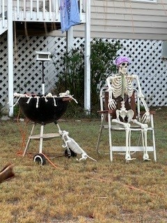 Color image of a Halloween display in the streetside yard of an oceanfront house on Edisto Beach, Edisto Island, South Carolina, USA. Image shows a skeleton posed sitting in a chair, spatula in hand, next to a Weber grill with smaller human skeletons being grilled, and a dog skeleton at its base looking forward to the skeleton meal.
