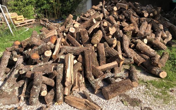 Un tas de 10 stères de bois