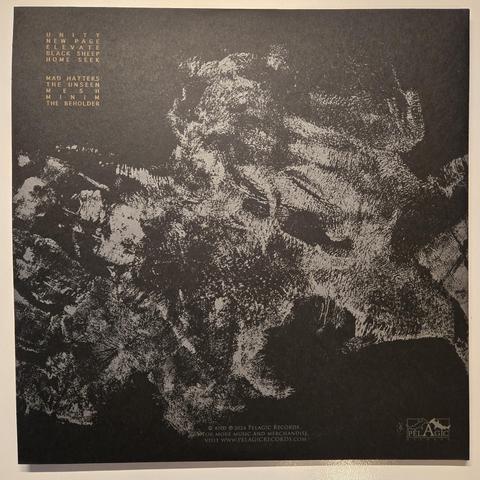Lizzard's "Mesh" gatefold LP, back cover