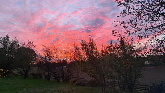 Alba infuocata.

The image shows a beautiful sunrise with a sky filled with vibrant pink and orange hues. Silhouettes of trees and some greenery are visible in the foreground, and there's a fence running along a field or open space.