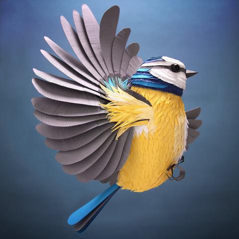 Les-delicates-sculptures-d-animaux-en-papier-de-Lisa-Lloyd-1-oiseau
