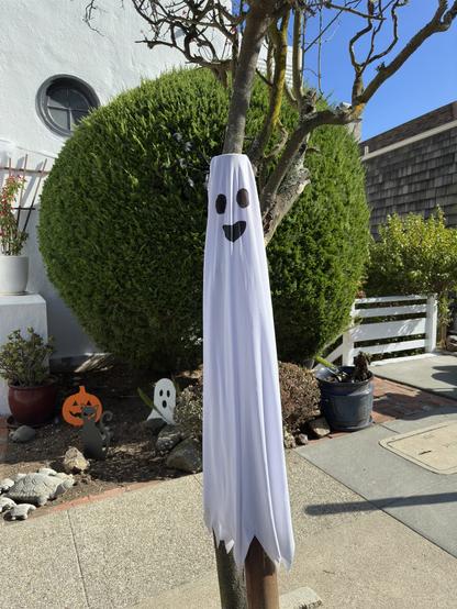 Close up of the white sheet valet parking ghostie in the center of the photo. The acacia globe frames his "head". He just seems so jolly!