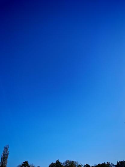 Au dessus de quelques arbres, un grand ciel bleu, sans aucun nuage, ni traînée de condensation.