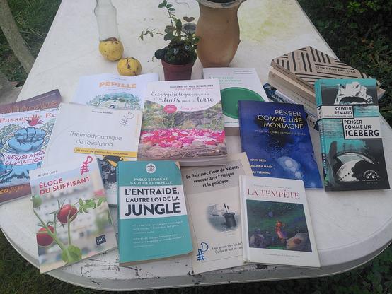 Au centre donc "Écopsychologie pratique et rituels pour la terre" (souffle d'or), la discutable traduction de _The work that reconnets_

Y'a aussi Penser comme une montagne et comme un iceberg (passerelle eco & actes sud), #ActiveHope (labor et fides) et d'autres moins au cœur de la référence mais à leur place ou dans la PAL à droite... Je détaillerai depuis l'ordi inch'allah