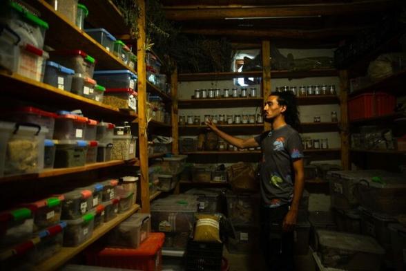Photography of a person with arabic features, standing in a room full with shelves of very well organized boxes of Buzuruna Juzuruna's seedbank. There is not much light, giving the picture a sacral armosphere, which makes perfect sense if you think that they store the material our life depends on: seeds.