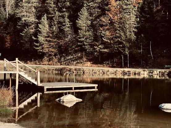 Steg der sich im Wasser spiegelt