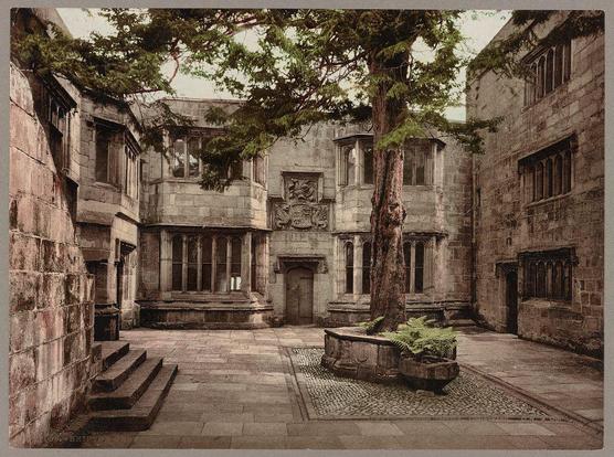 The image depicts an old, stone courtyard within a historic castle or manor house. The architecture features large windows with wooden shutters and high ceilings supported by thick columns. There is a prominent tree in the center of the courtyard surrounded by ivy-covered walls. Various ornate decorative elements can be seen on the stonework, including carvings above doorways and around arched windows. A set of stone steps leads up to one side of the courtyard, while another staircase descends from an upper level visible through a window opening. The ground is paved with stones or tiles, showing signs of age and weathering. There are no people present in the scene, emphasizing its historical ambiance.