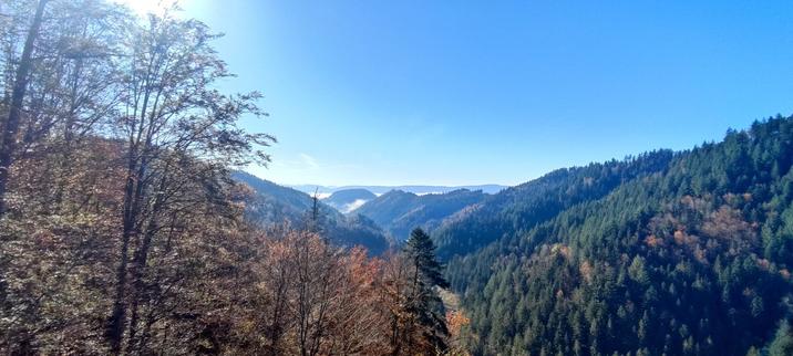 Schwarzwald Nähe Allerheiligen