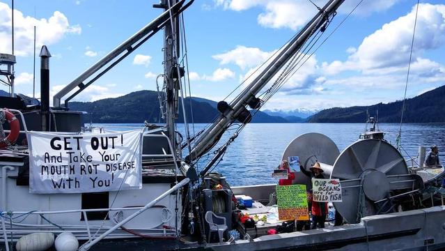 Drone shot of our large fishing boat used in flotilla. We have assorted protest signs on it & we're holding up signs too. The Discovery Island archipelago is behind us, in ocean & mountains background.