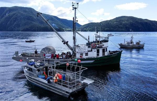 Drone shot of some of the boats in flotilla. We have assorted protest signs on our large fishing boat in the middle & we're holding up signs too. The Discovery Island archipelago is behind us, in ocean & mountains background