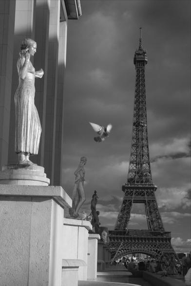 Black and white, infrared photography: Statues at the Trocadero in the sunlight, a pigeon has launched itself off of one of them and is in mid-flight between the statue and the Eiffel Tower that dominates the background to the right.