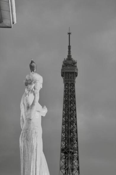 Black and white, infrared photography: A statue at the Trocadero in the sunlight, a pigeon sits on the statue’s head, the Eiffel Tower dominates the background to the right before a gloomy grey sky.