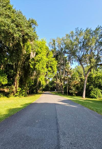A long, paved path in a mostly open area, with a few trees to either side.