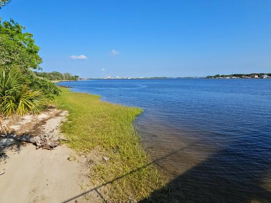 Beneath a mostly clear blue sky, a wide river reflects back blue from the bright sunny day. The shoreline is a mix of grass, reeds, sand, and overgrowth.